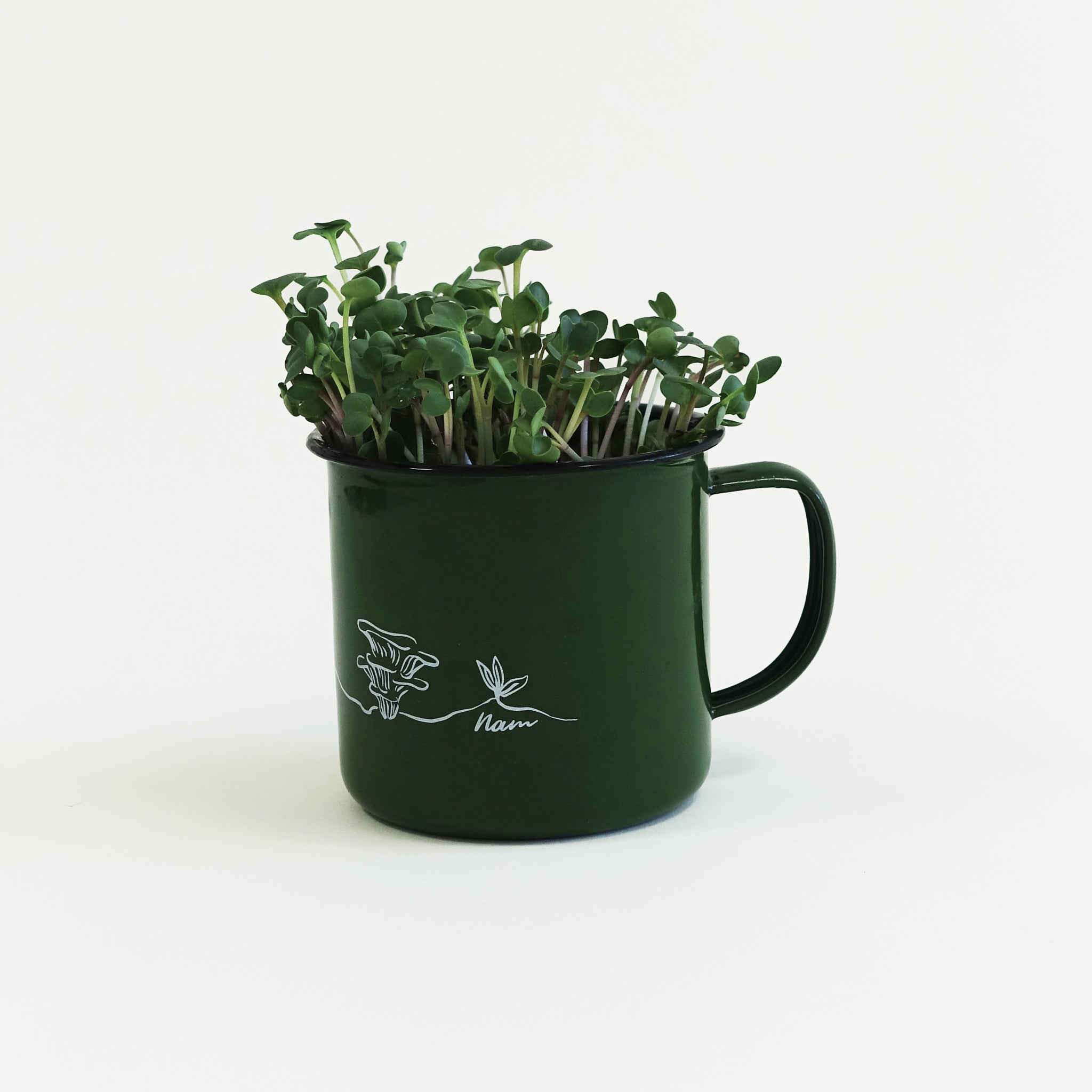 #Escolhe os teus Microgreens_Sementes de Rabanete