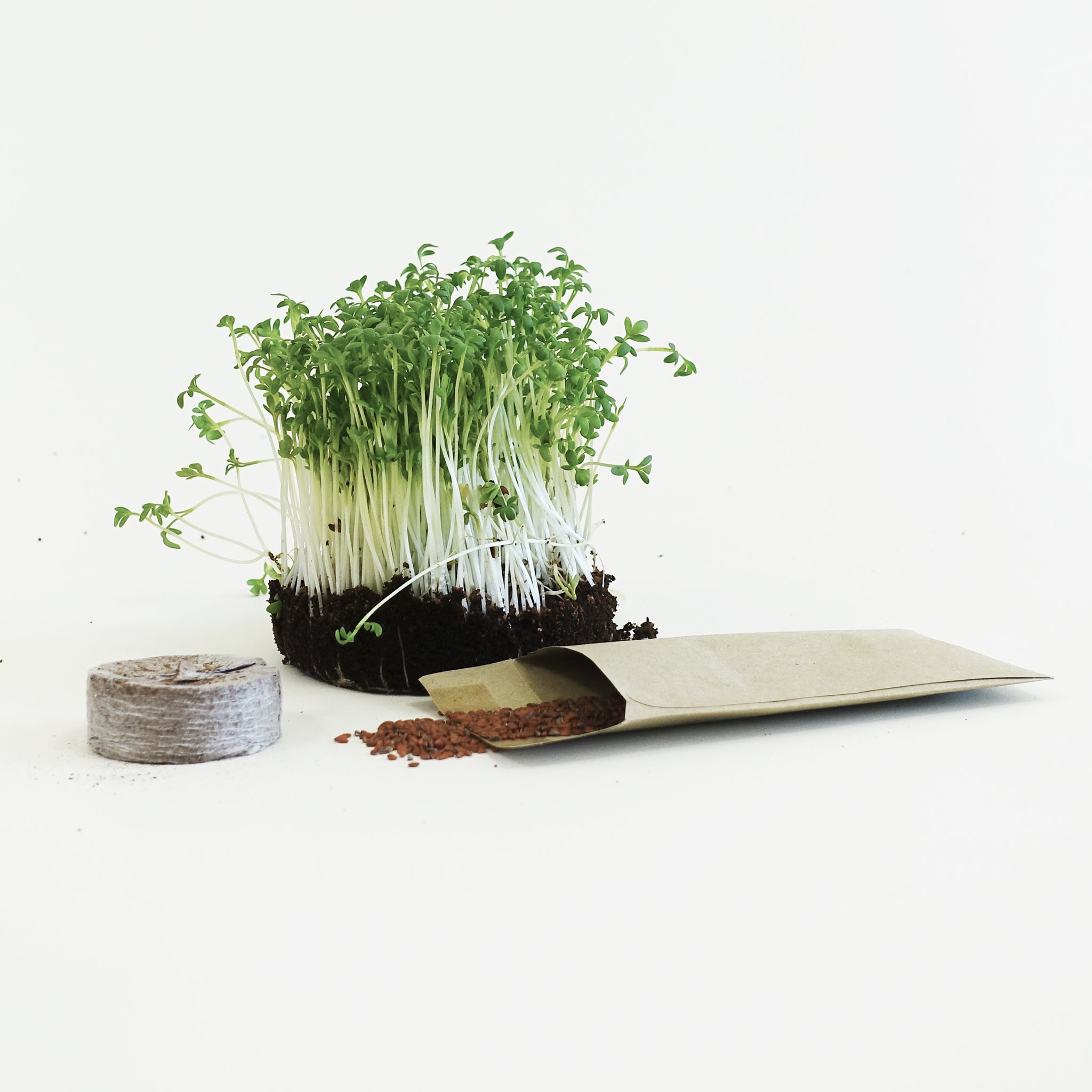 Microgreens - Refills
