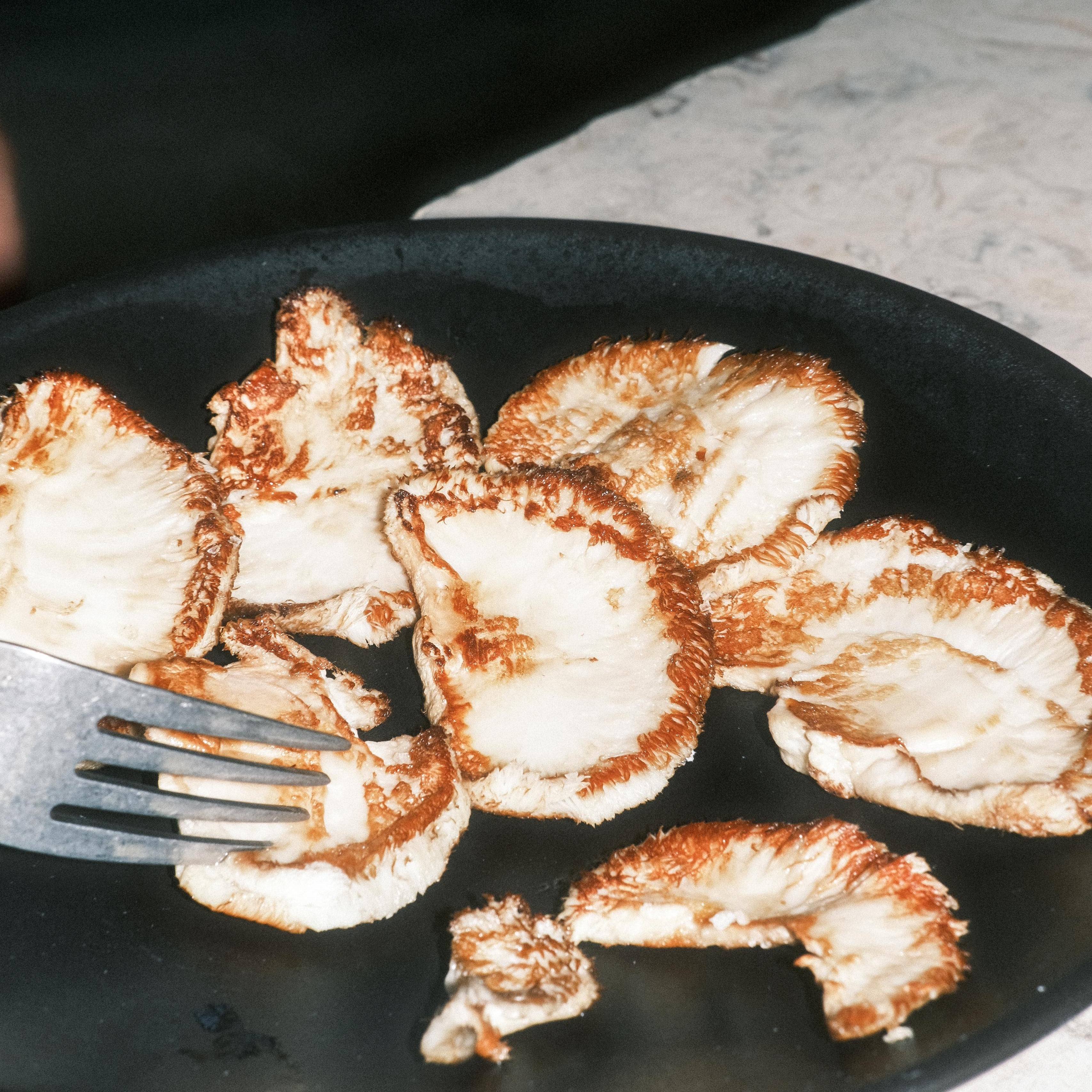 Grow Kit - Cogumelo Juba de Leão