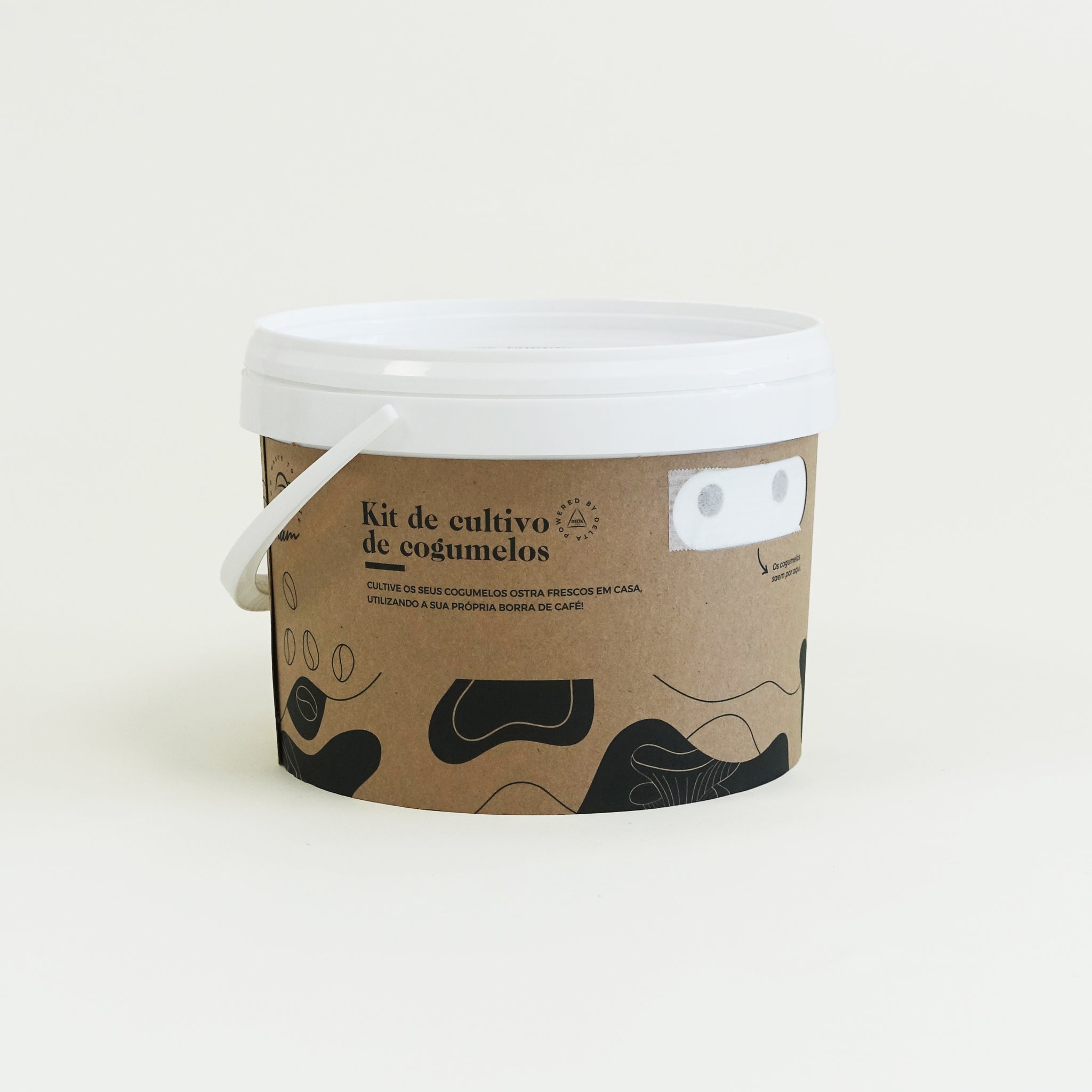 DIY Kit - Cogumelo Pleurotus