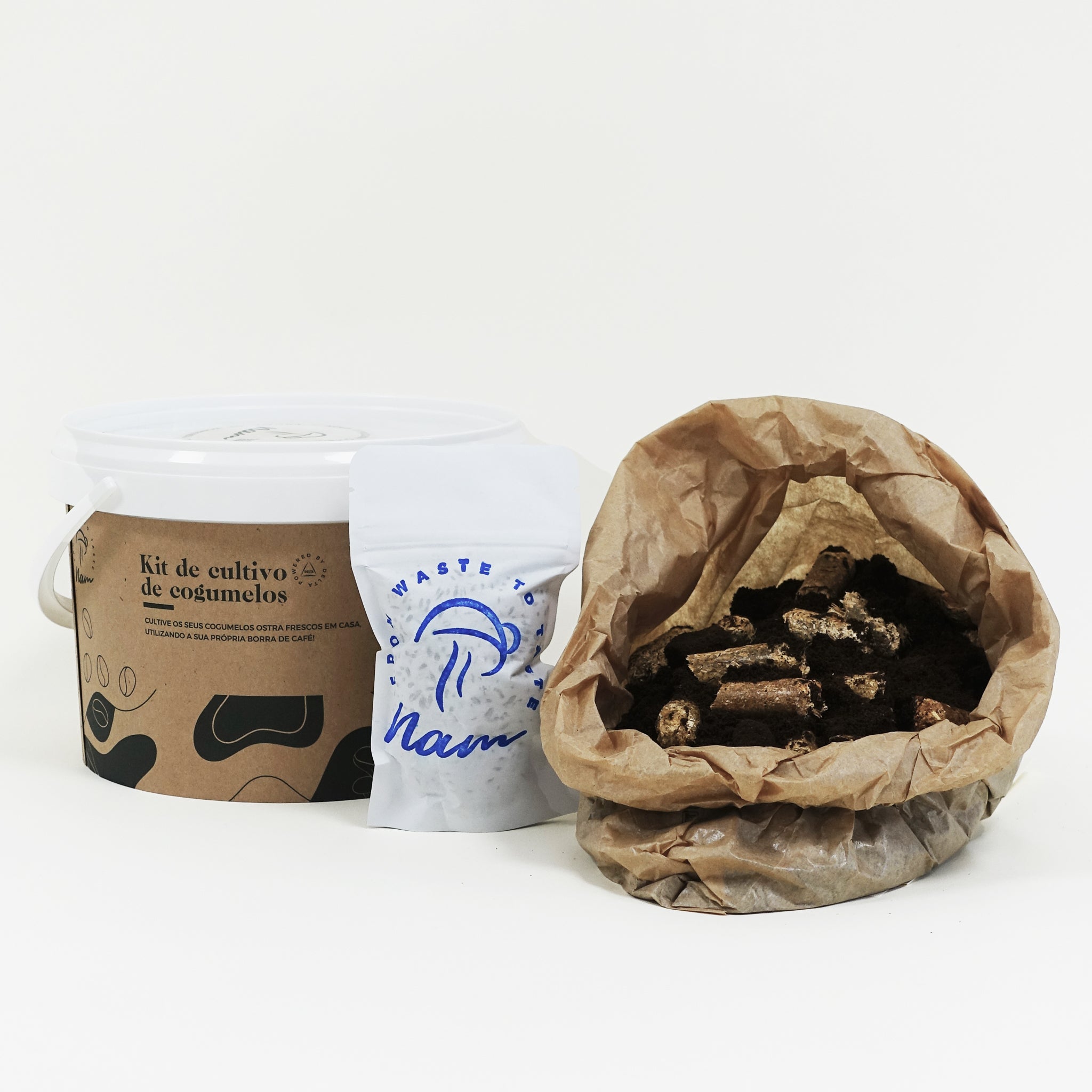 DIY Kit - Cogumelo Pleurotus