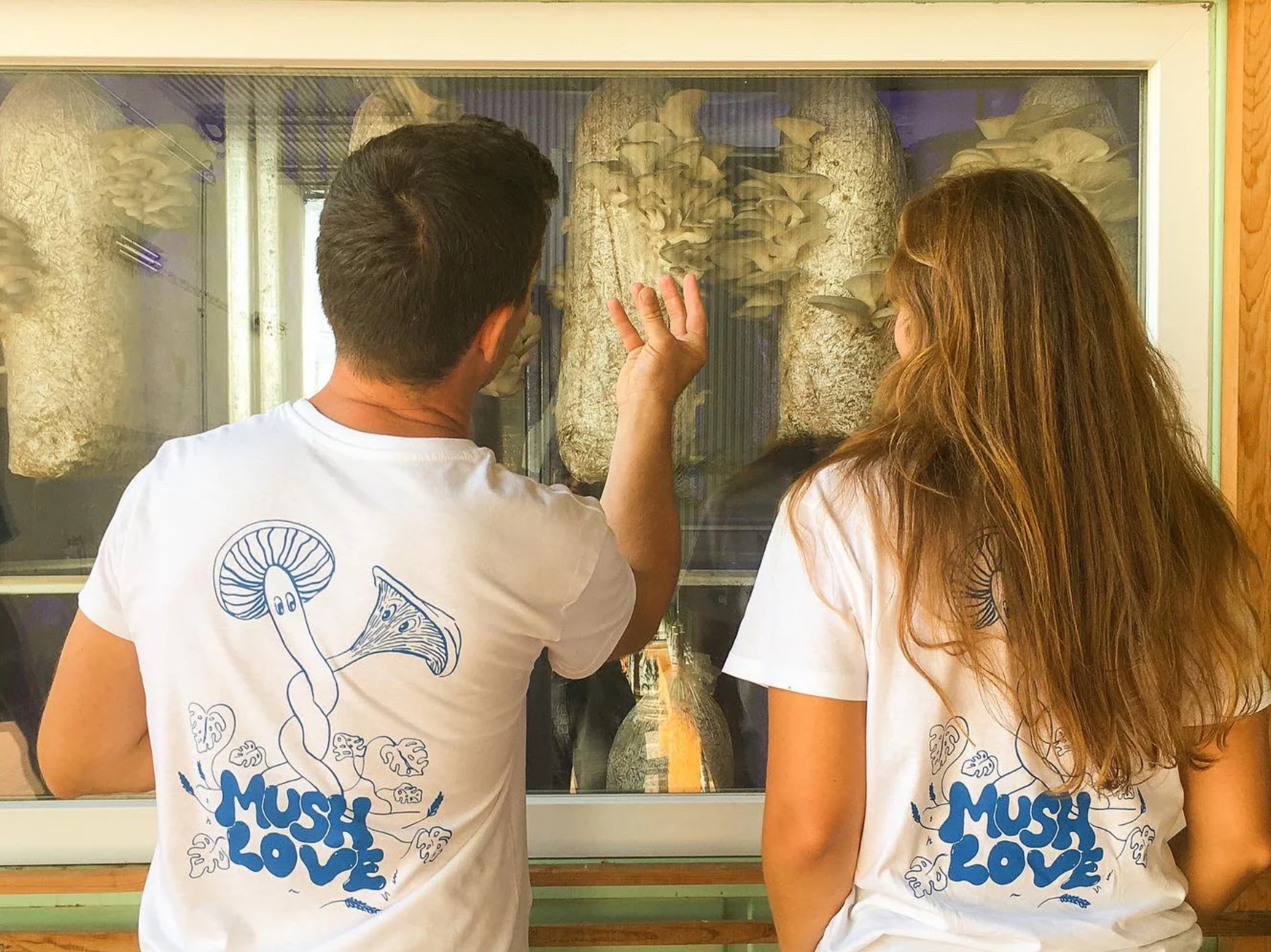Urban Mushroom Farm Tour - Cascais