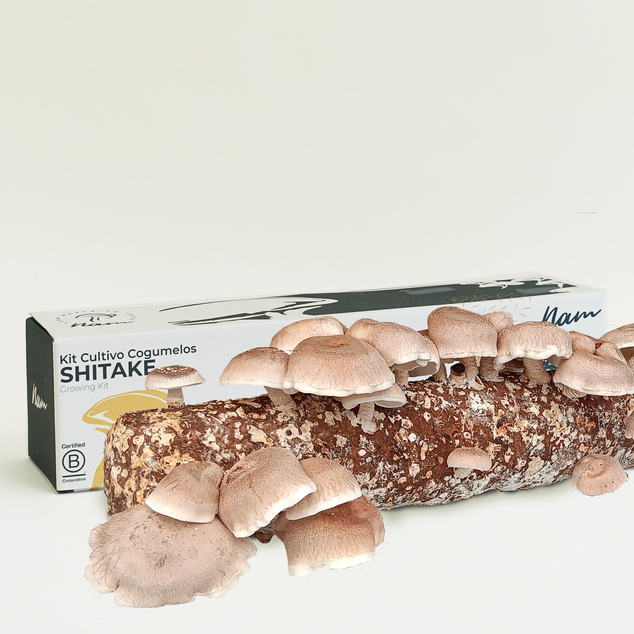 Cogumelos Shitake Bio . 1 caixa
