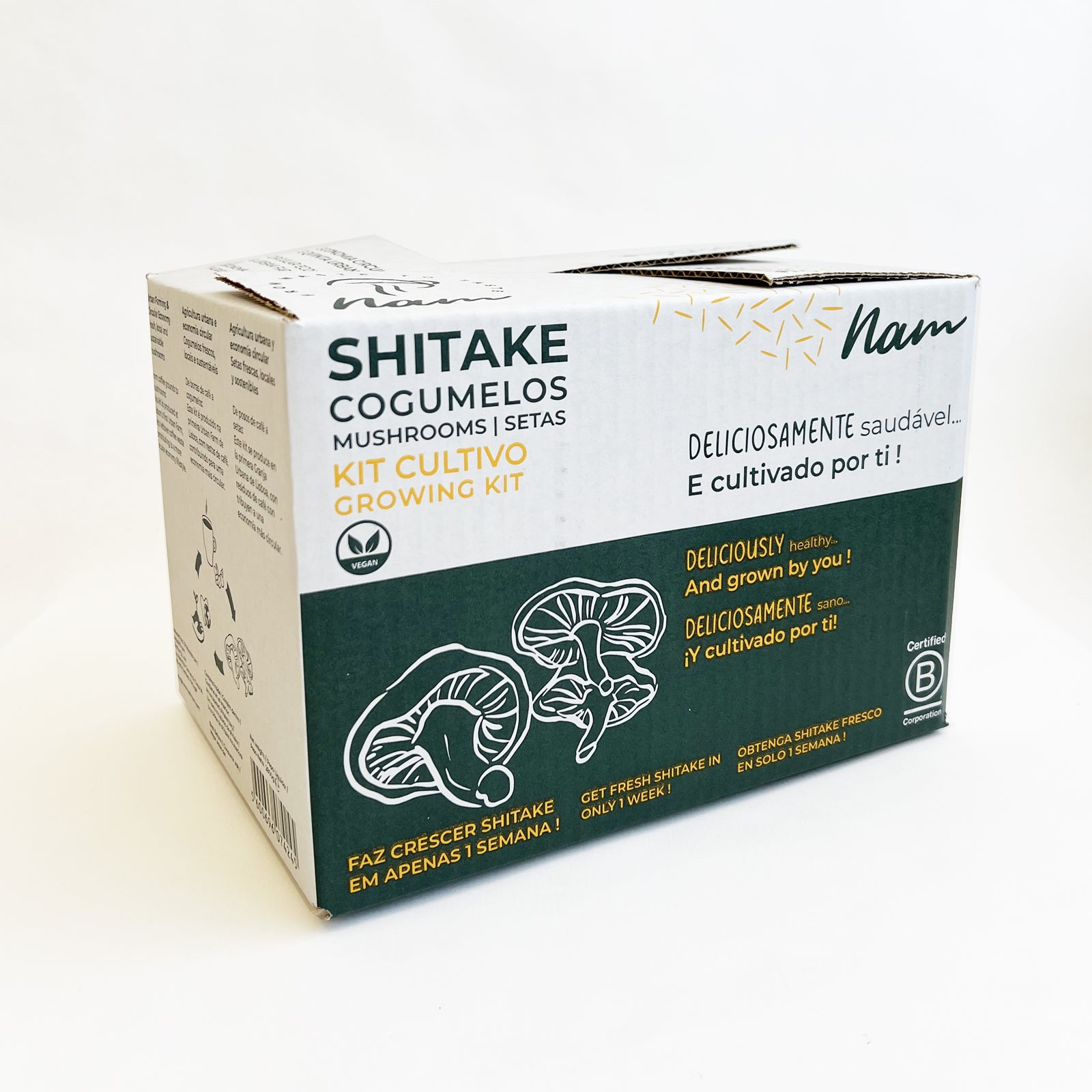 Grow Kit - Cogumelo Shitake