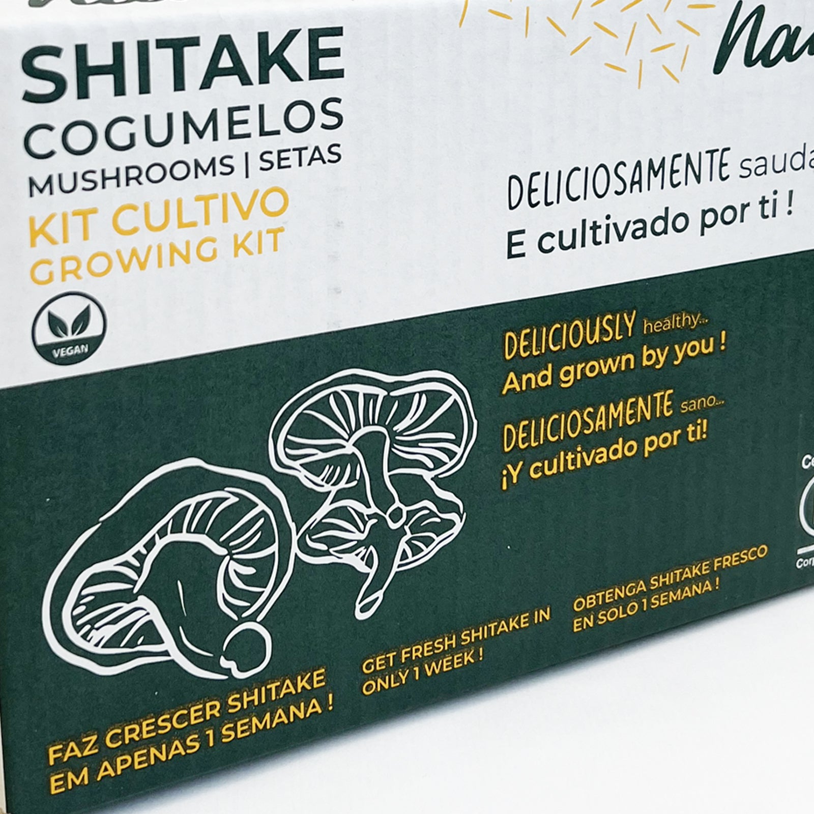 Grow Kit - Cogumelo Shitake