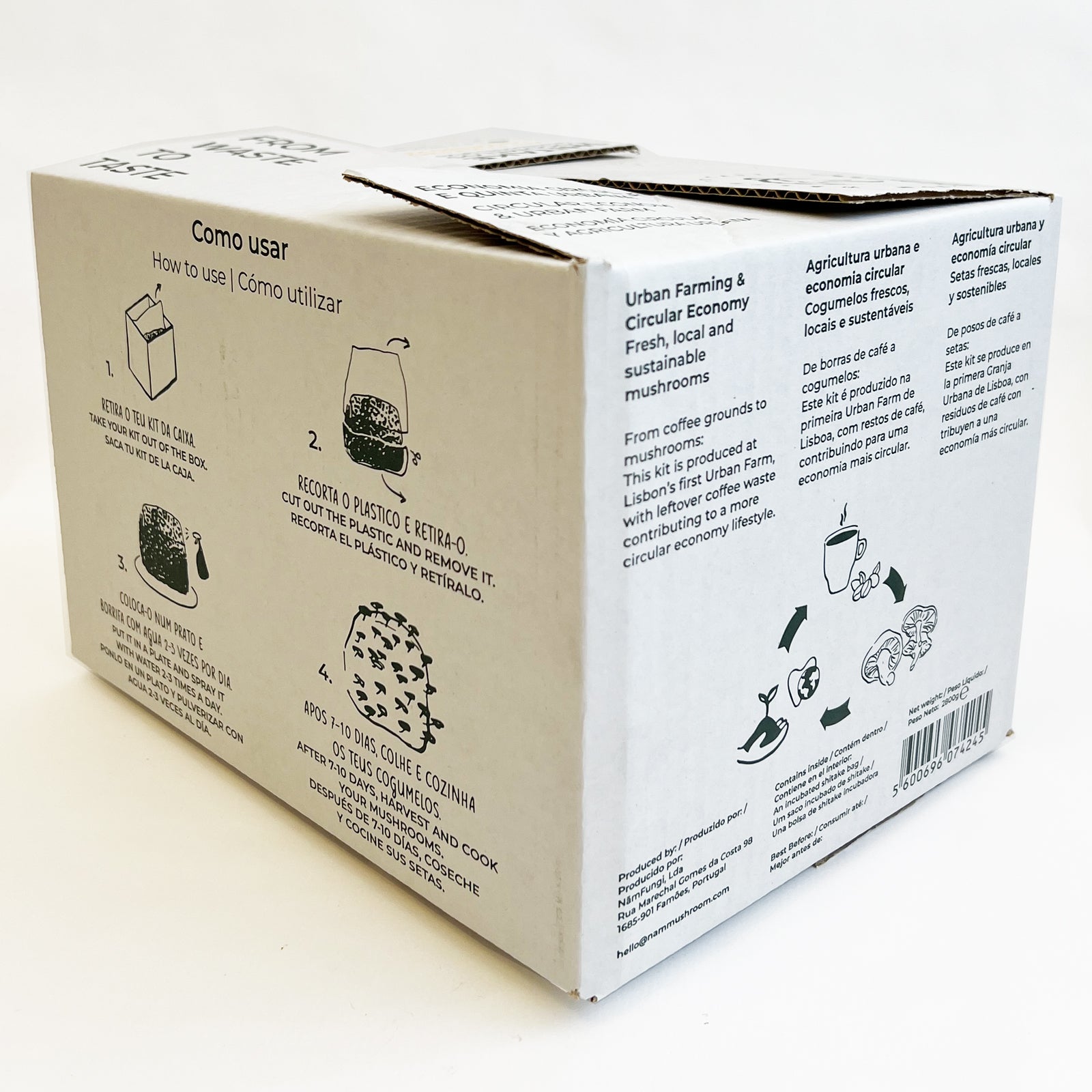 Grow Kit - Cogumelo Shitake