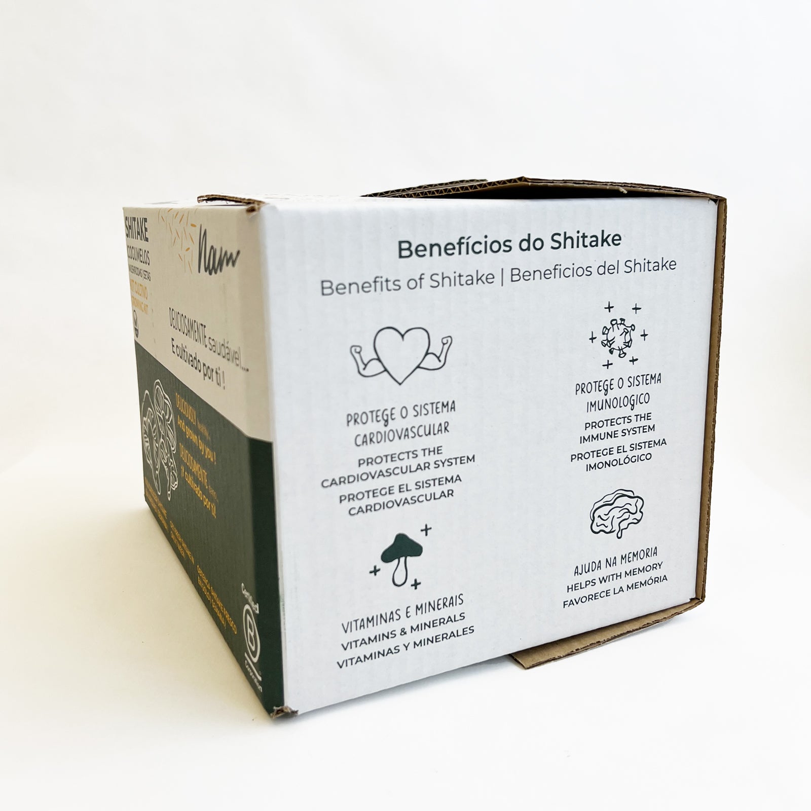 Grow Kit - Cogumelo Shitake