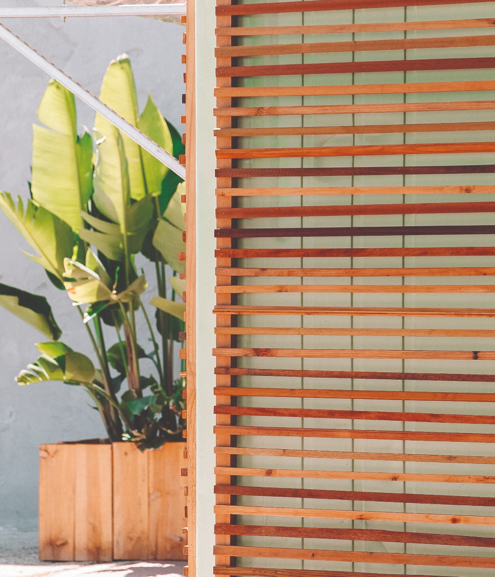 urban farm, quinta urbana, produzir cogumelos, economia circular, mushrooms