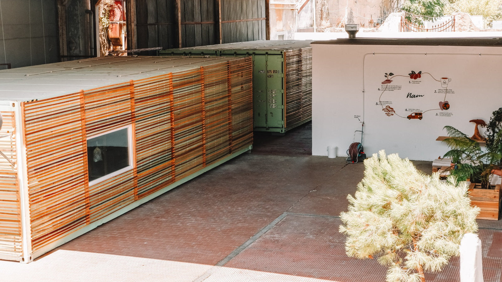 cogumelos, cogumelos ostra, oyster mushrooms, produzir cogumelos, economia circular, borra de café, delta