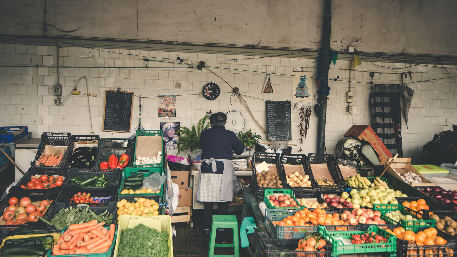 cogumelos, cogumelos ostra, oyster mushrooms, produzir cogumelos, economia circular, borra de café, delta