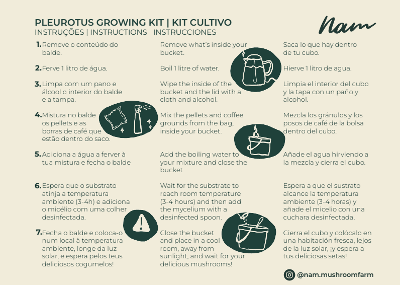 DIY Kit - Oyster mushroom