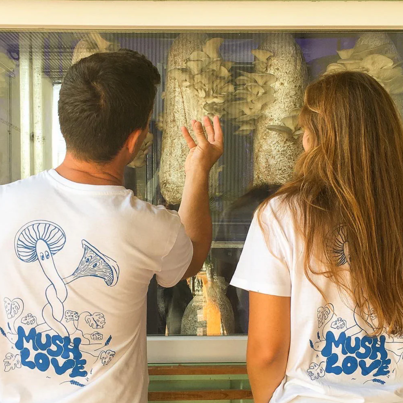 COMING SOON - Urban Mushroom Farm Tour - Cascais