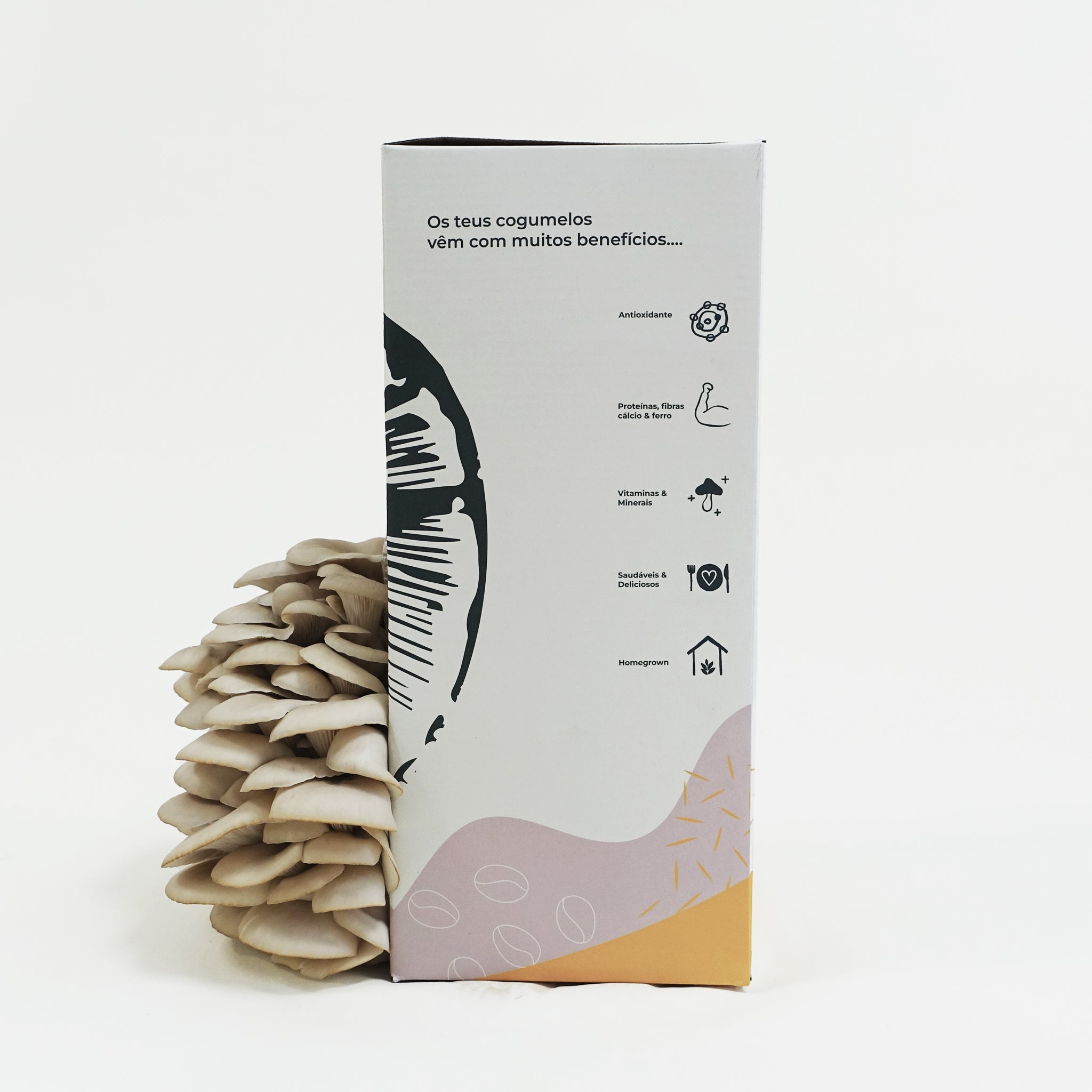 Home Kit - Cogumelo Pleurotus