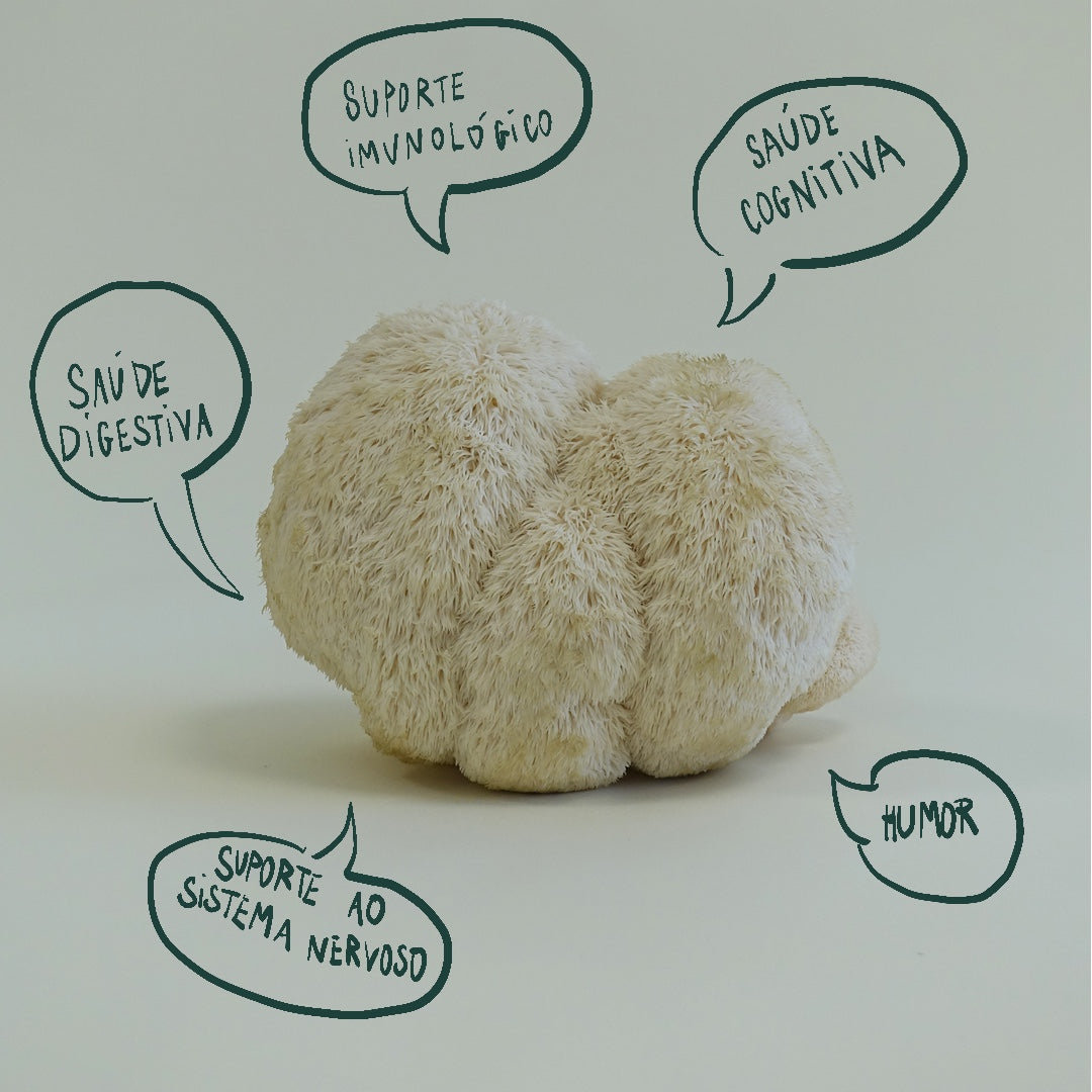 Grow Kit  - Cogumelo Juba de Leão