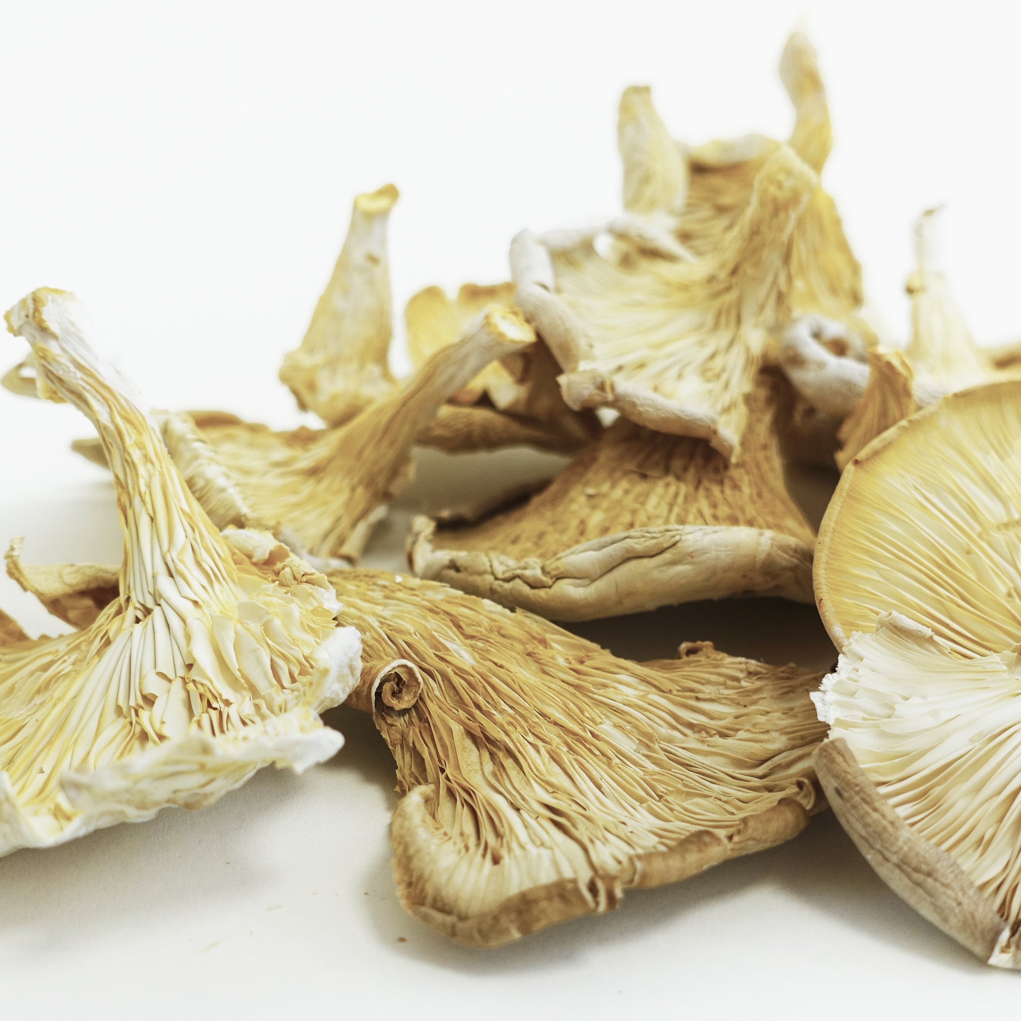 Dehydrated Pleurotus &amp; Shitake Mushrooms