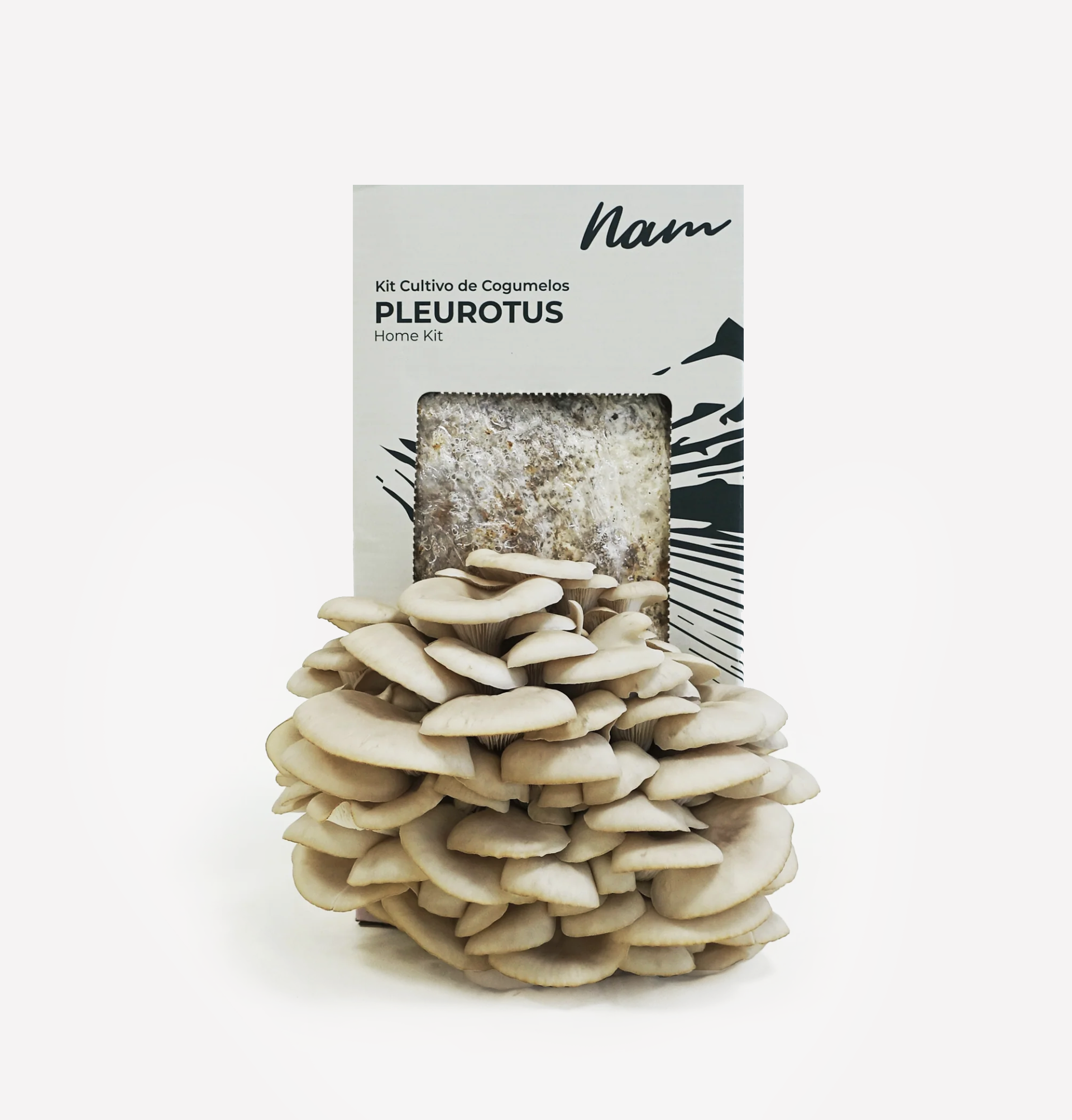Home Kit - Cogumelo Pleurotus