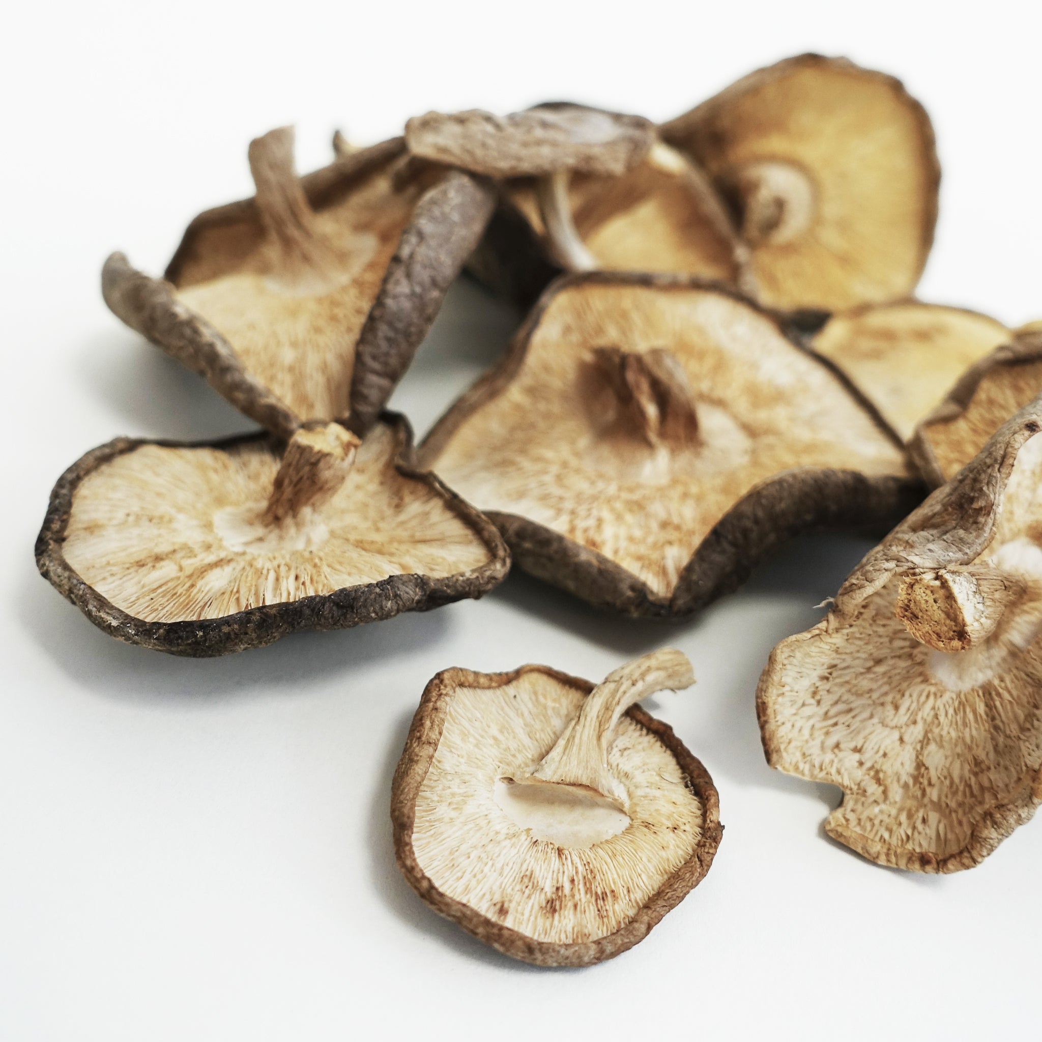 Dehydrated Pleurotus &amp; Shitake Mushrooms