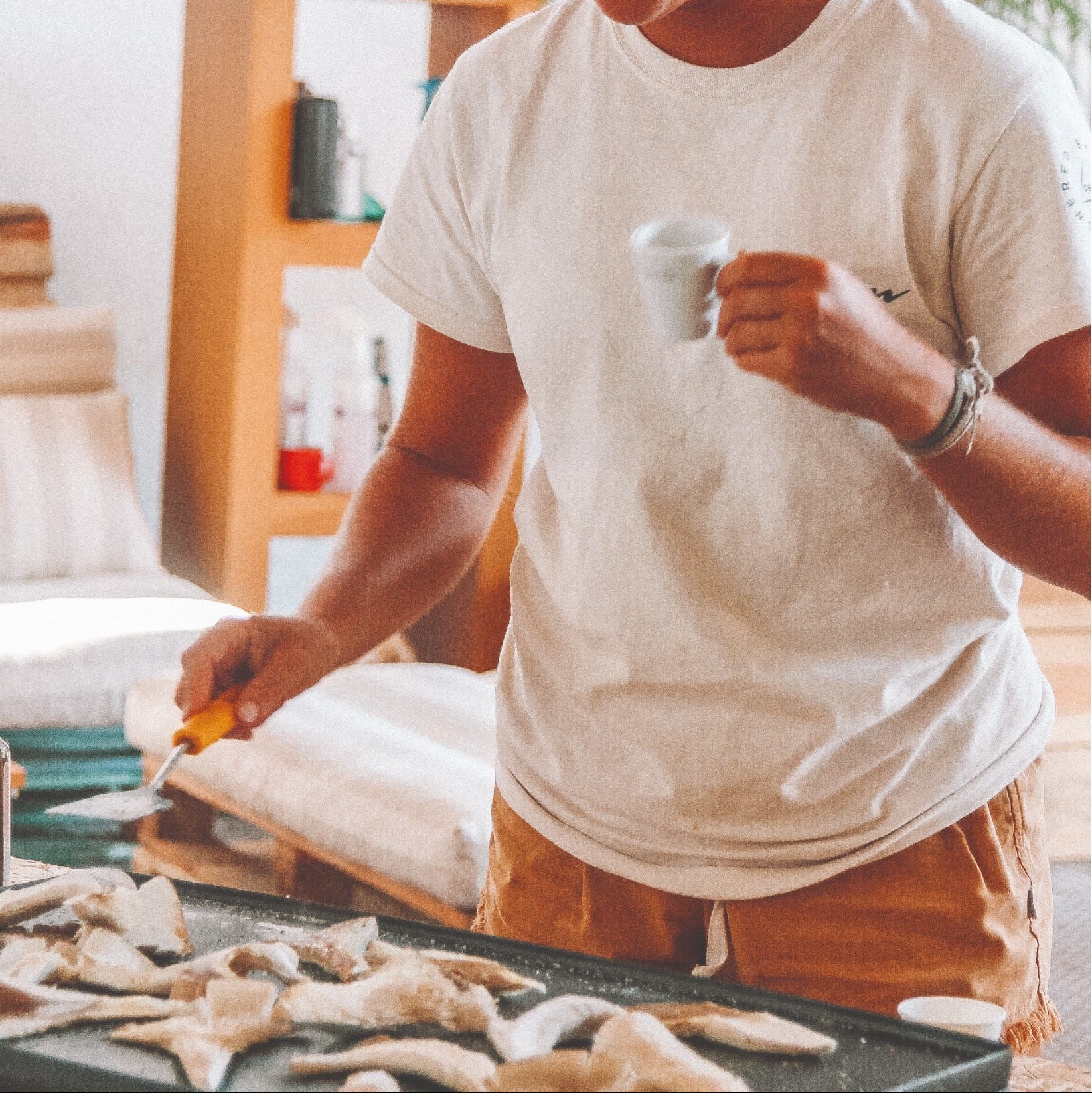urban farm, quinta urbana, produzir cogumelos, economia circular, mushrooms
